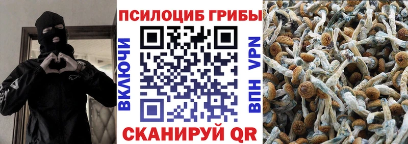 купить наркотики сайты  нарко площадка состав  Псилоцибиновые грибы прущие грибы  Бокситогорск 